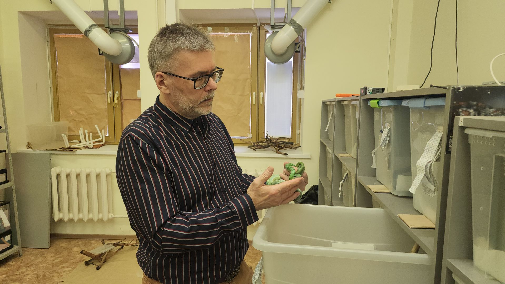 волоколамск, змеи, люди, советы герпетолога,