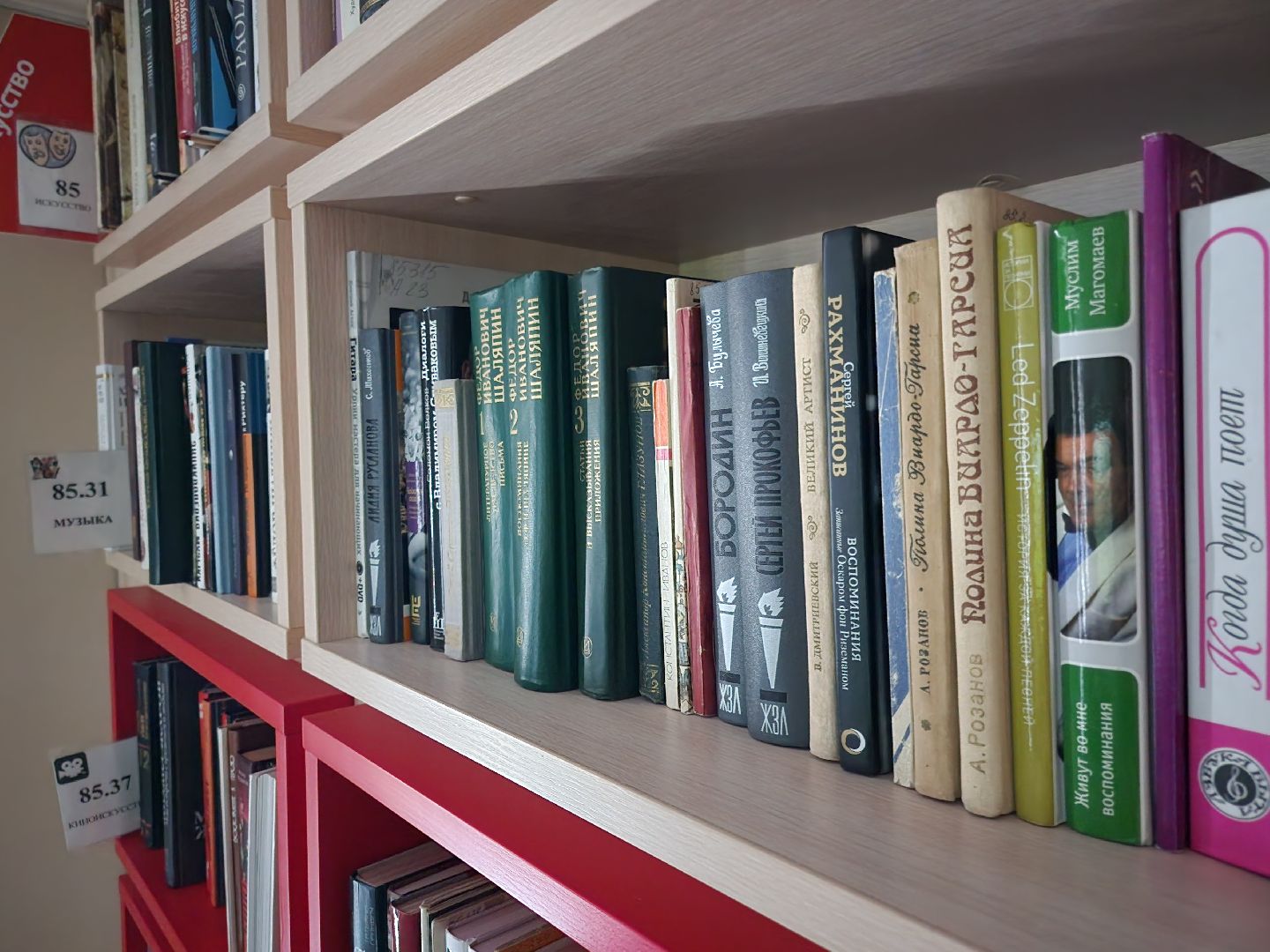 химки, олимпиада 2014, спорт, вертикалка,