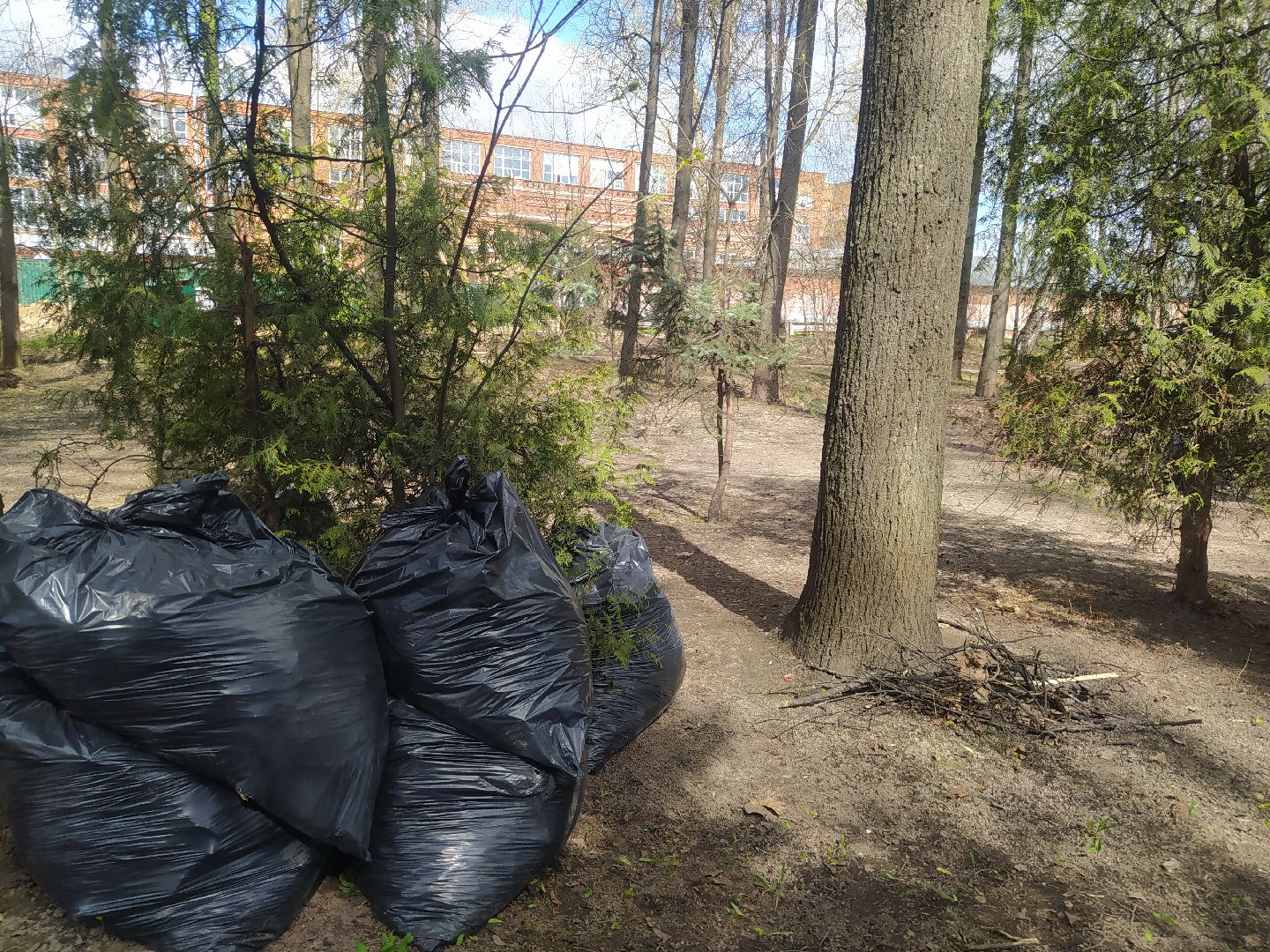 Дедовск, субботник, парк, благоустройство, уборка