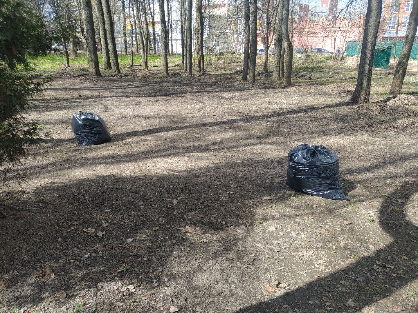 Дедовск, субботник, парк, благоустройство, уборка