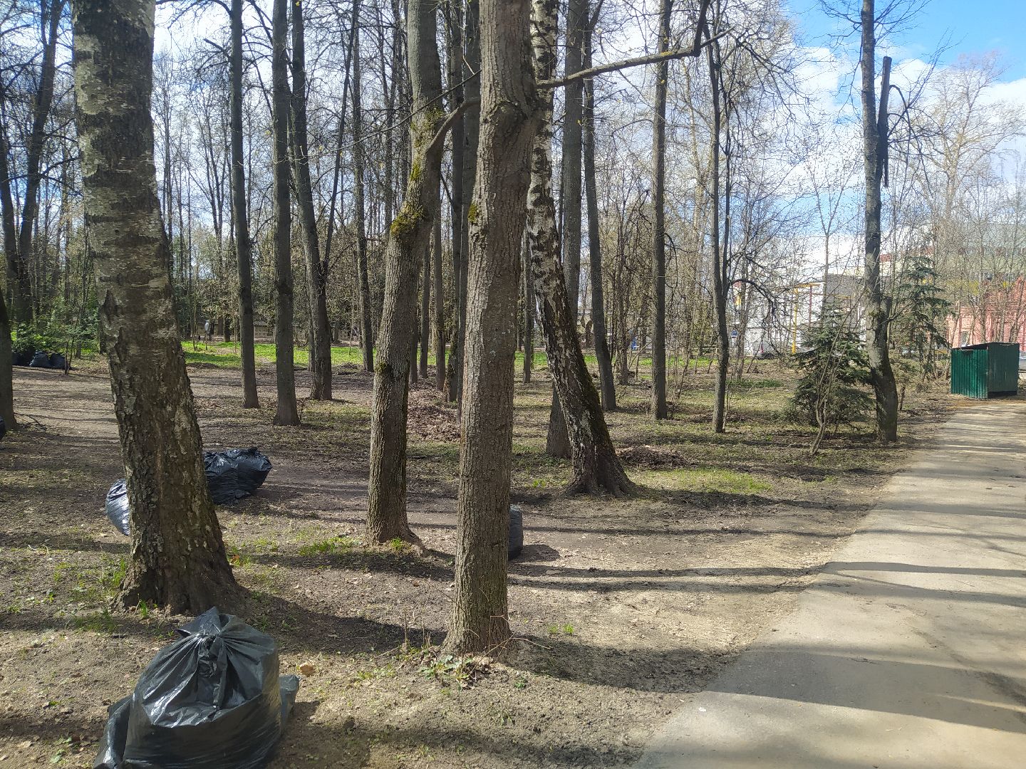 Дедовск, субботник, парк, благоустройство, уборка