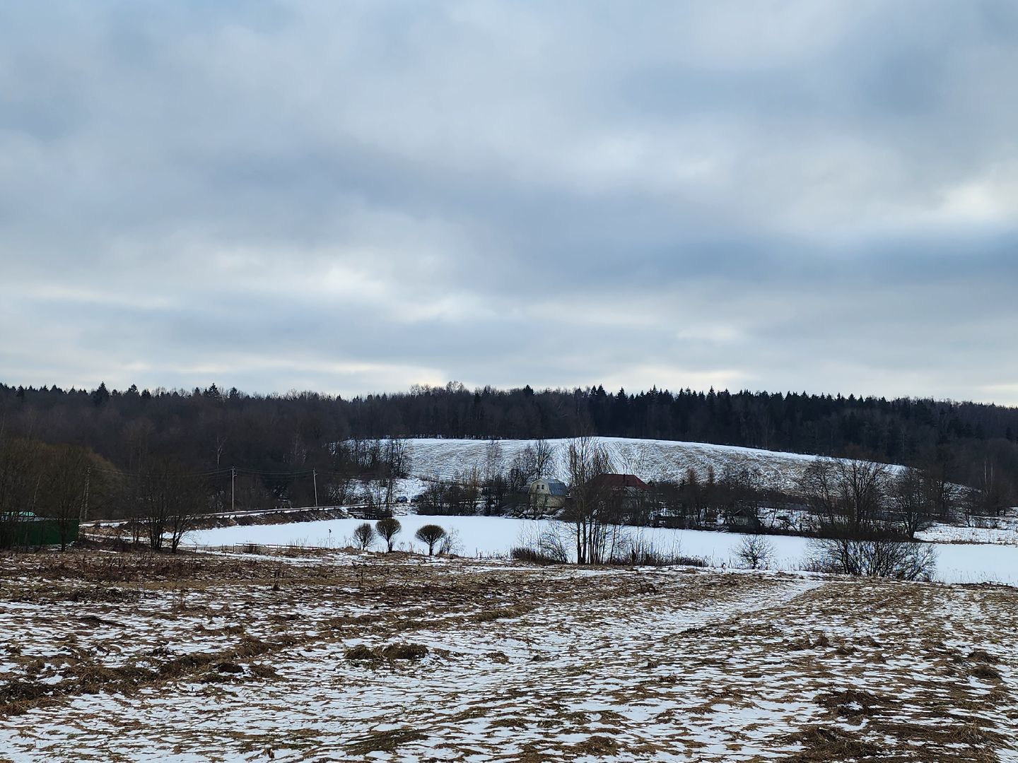 вертикалки, пушкино, праздник, масленица, весна,