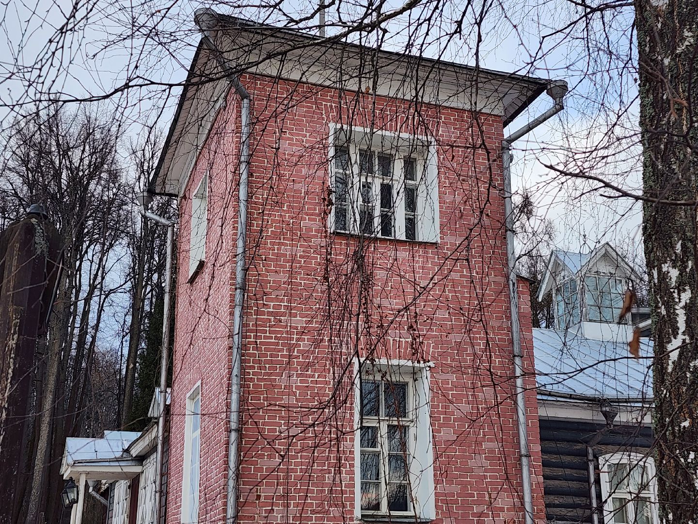 вертикалки, пушкино, праздник, масленица, весна,