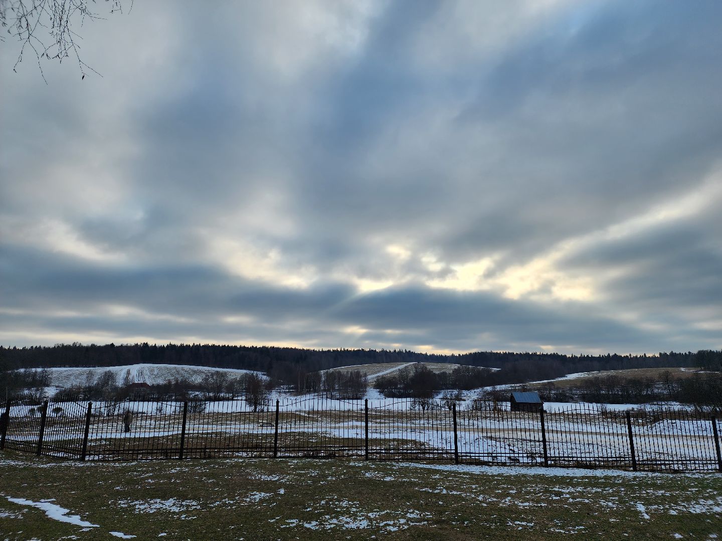 вертикалки, пушкино, праздник, масленица, весна,