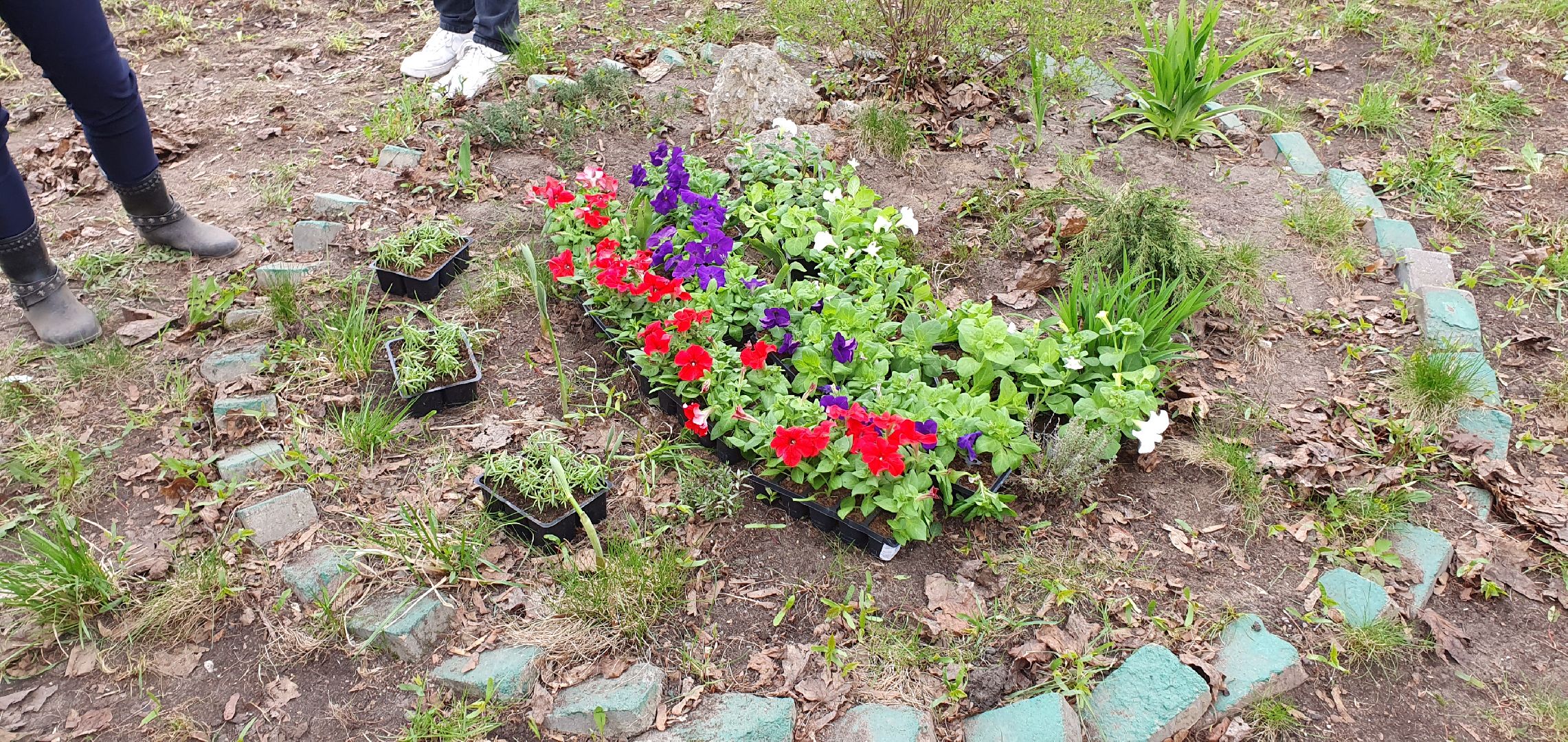 субботник, благоустройство, Котельники, уборка