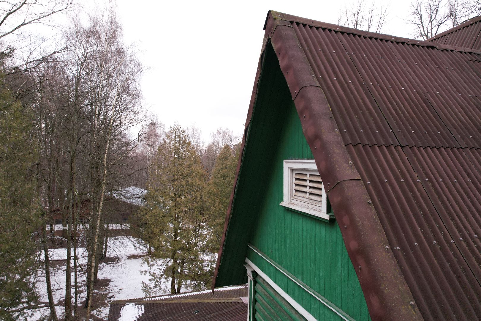 видео с коптера, царская охота, алексеевская роща,