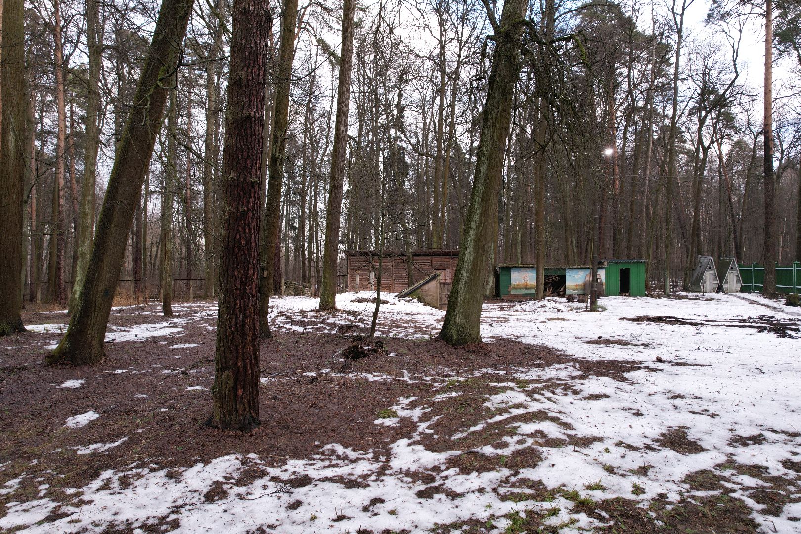 видео с коптера, царская охота, алексеевская роща,