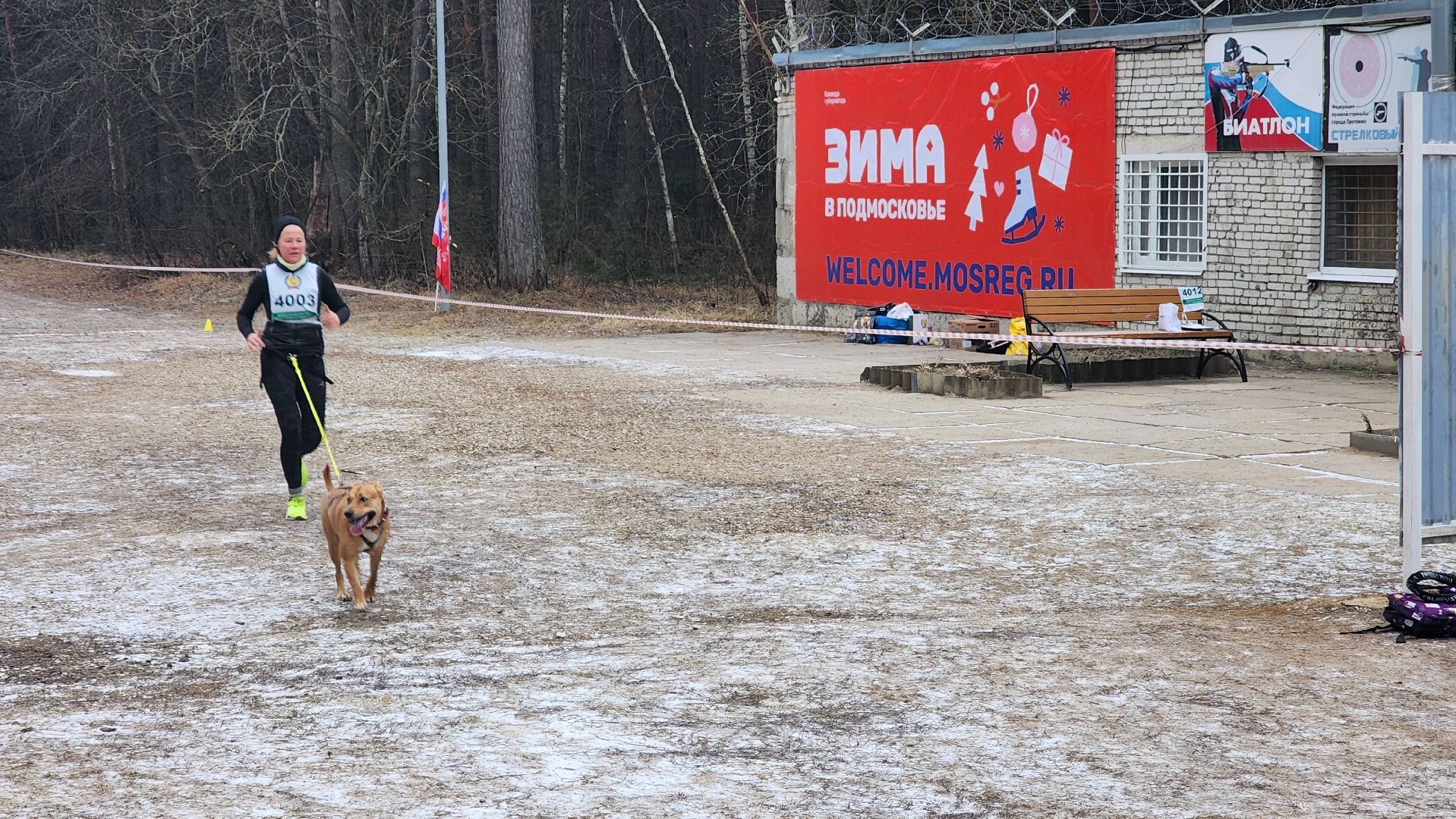 спорт, кинологи, Первенство мо, Протвино,