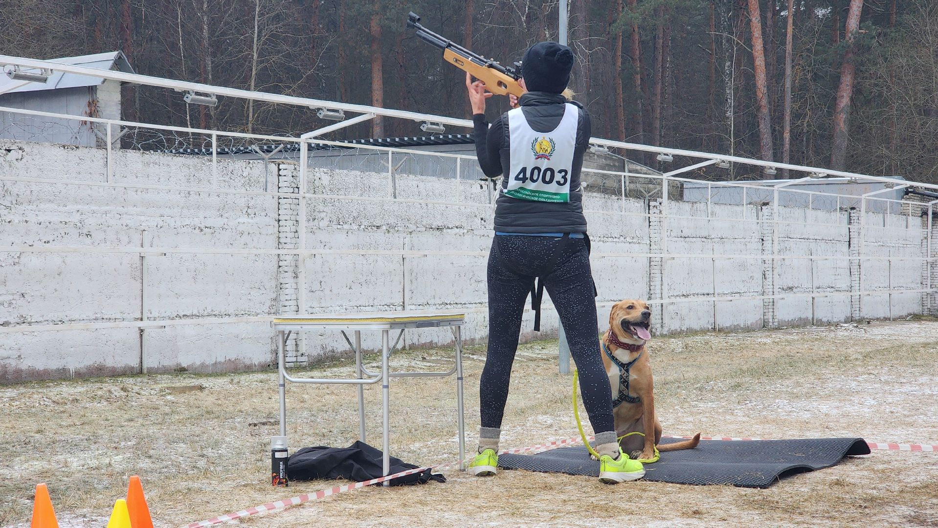 спорт, кинологи, Первенство мо, Протвино,