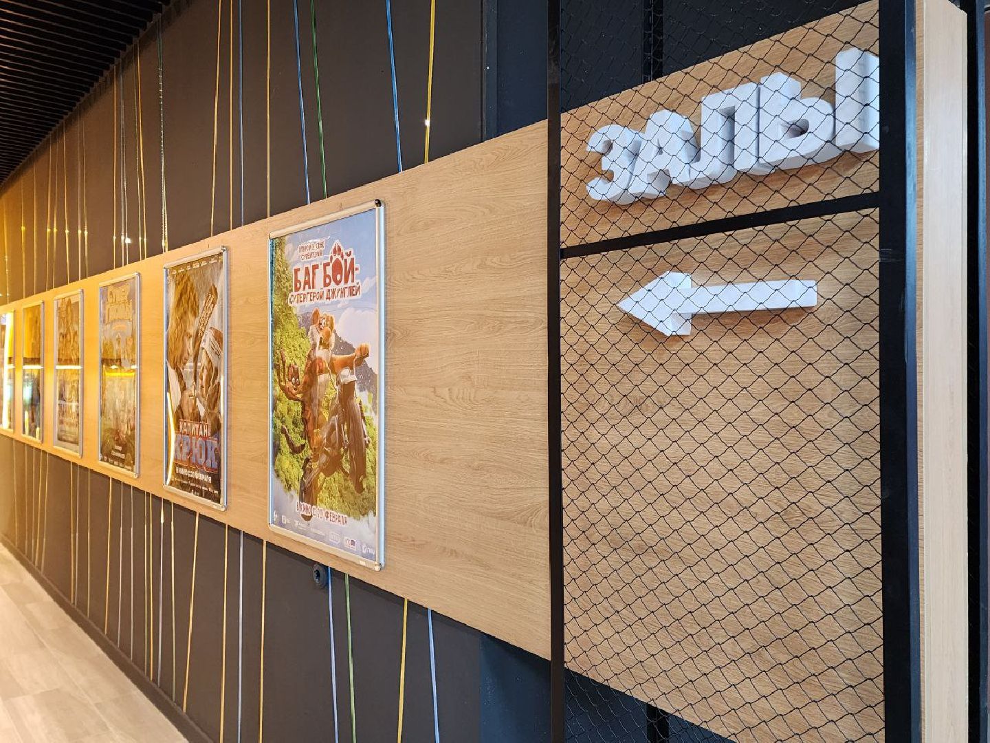 солнечногорск, кинотеатр, жители, вертикалки, залы,