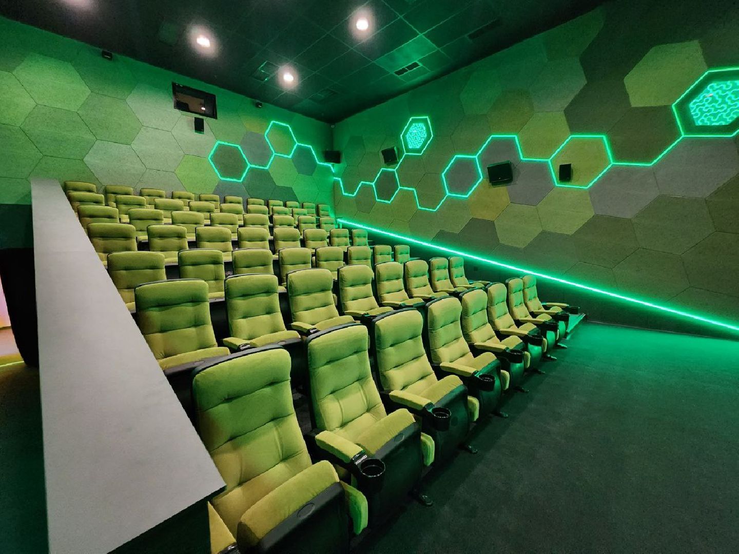 солнечногорск, кинотеатр, жители, вертикалки, залы,