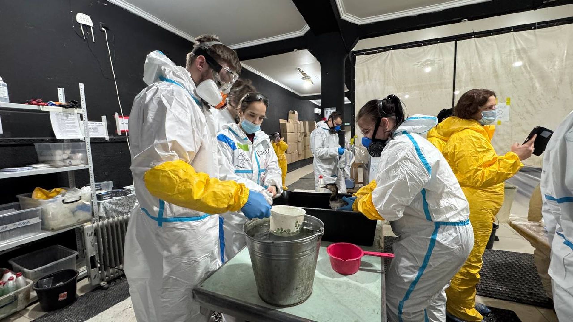 вертикалки, Бронницы, Волонтры Подмосковья, Волонтеры Подмосковья помогают в Анапе,