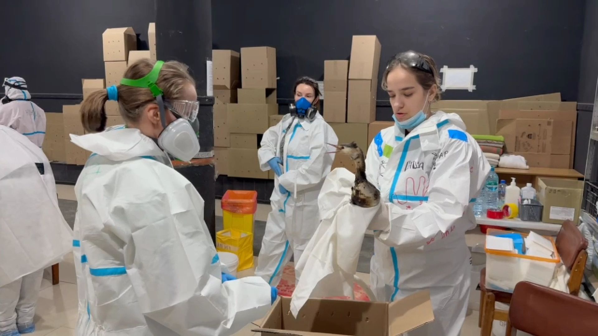 вертикалки, Бронницы, Волонтры Подмосковья, Волонтеры Подмосковья помогают в Анапе,