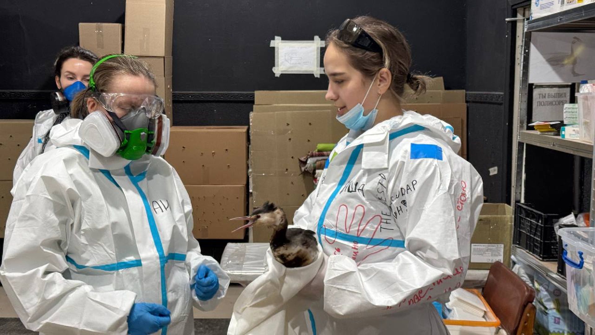 вертикалки, Бронницы, Волонтры Подмосковья, Волонтеры Подмосковья помогают в Анапе,