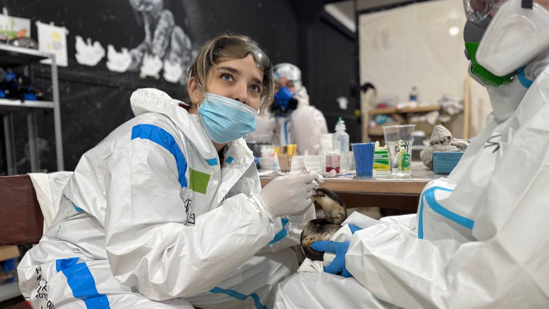 вертикалки, Бронницы, Волонтры Подмосковья, Волонтеры Подмосковья помогают в Анапе,