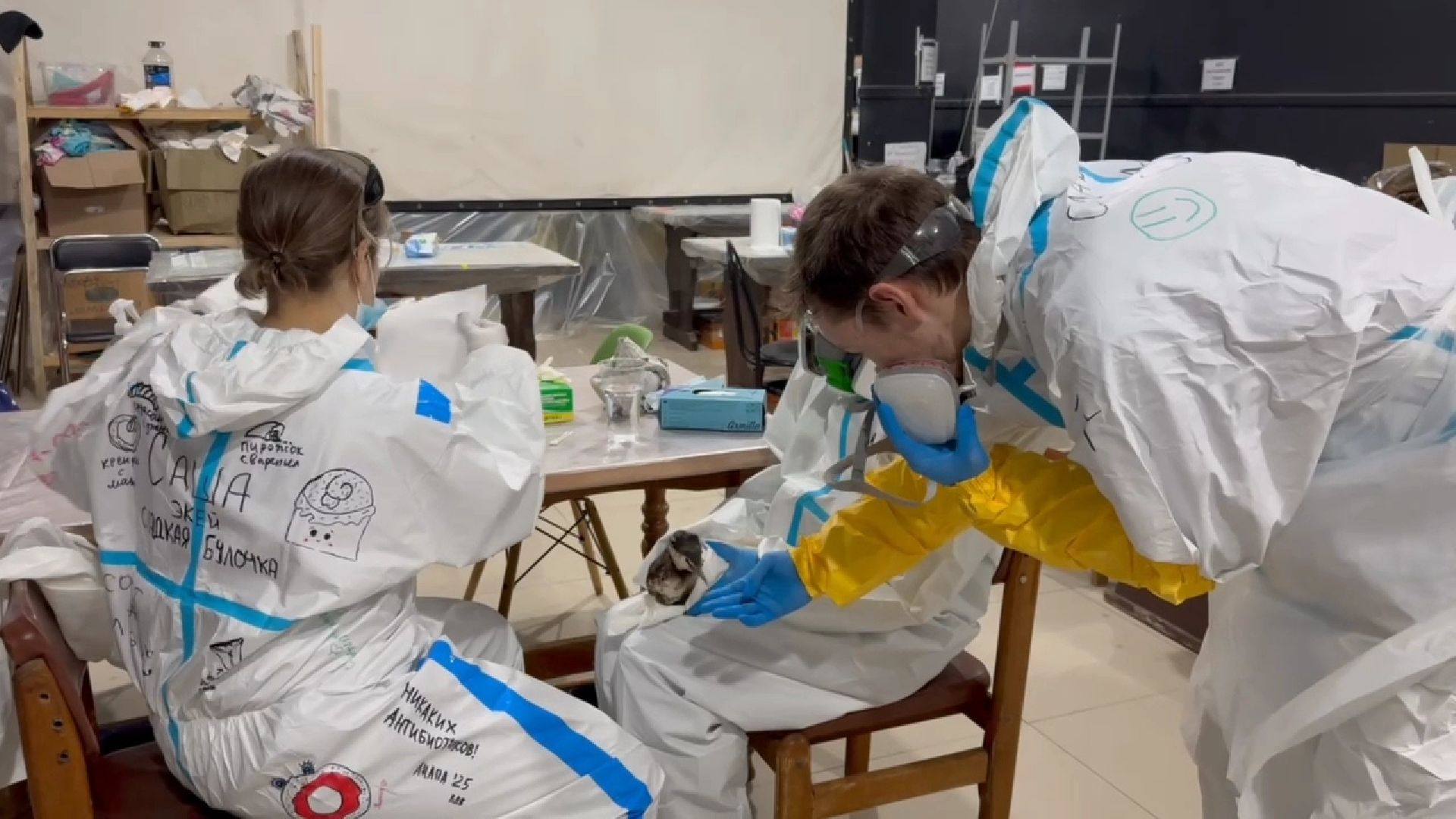 вертикалки, Бронницы, Волонтры Подмосковья, Волонтеры Подмосковья помогают в Анапе,