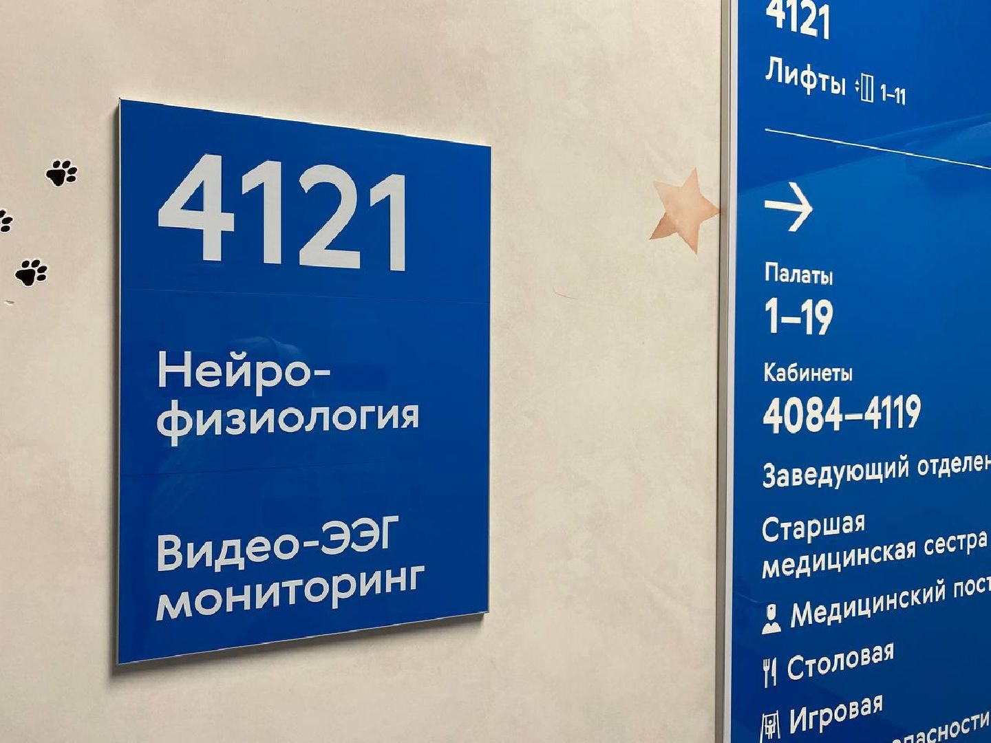 вертикалки, эпилепсия, борьбасэпилепсией, деньборьбысэпилепсией, клиническийцентрименирошаля, врачневролог, неврологическое отделение,