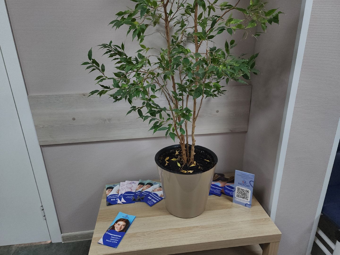 долгопрудный, врач-гастроэнтеролог, праздники, переедание, Никсор, вертикалки,