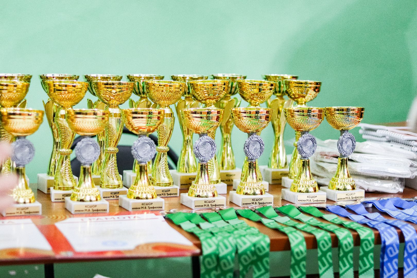 Клин, общество, спорт, ГТО, экономика, вертикалки,