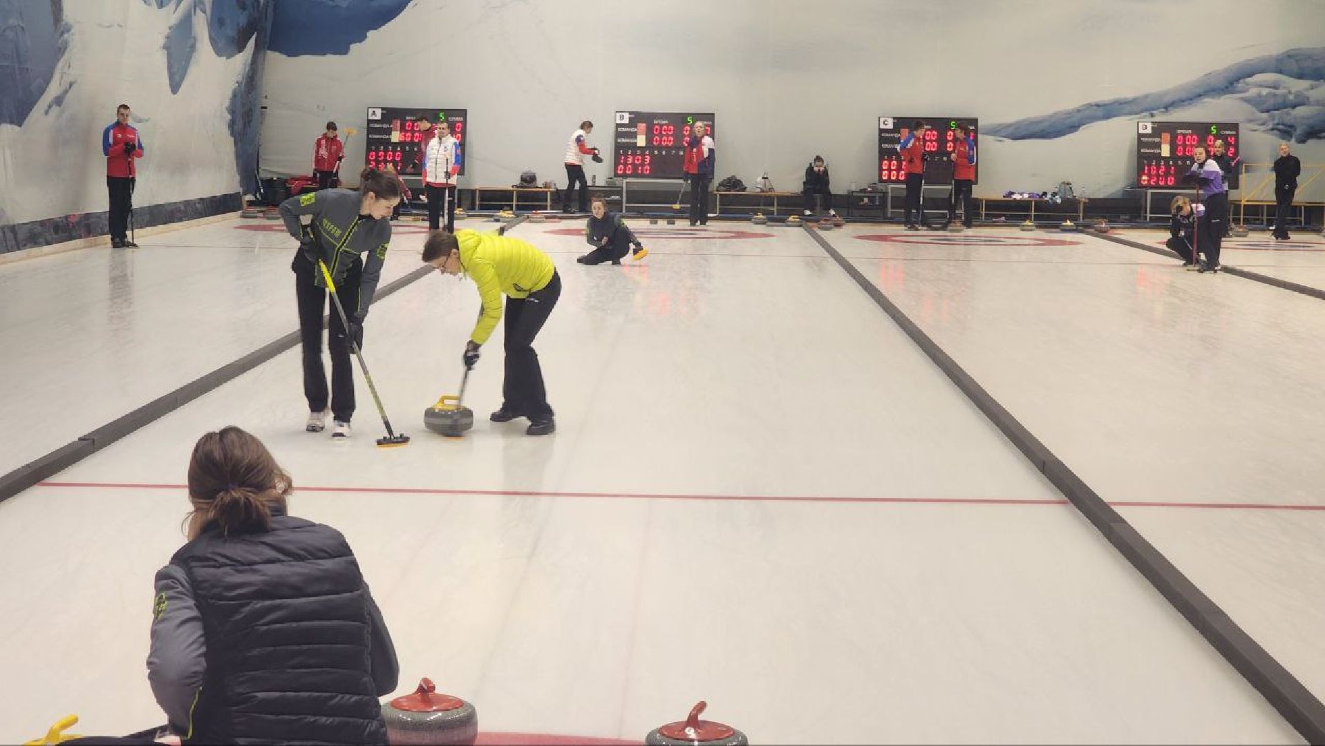 Дмитров, Керлинг, Минспорта, вертикалки,
