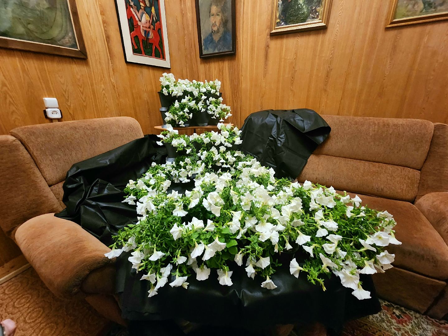 пущино, серпухов, наука, день науки, ученые,