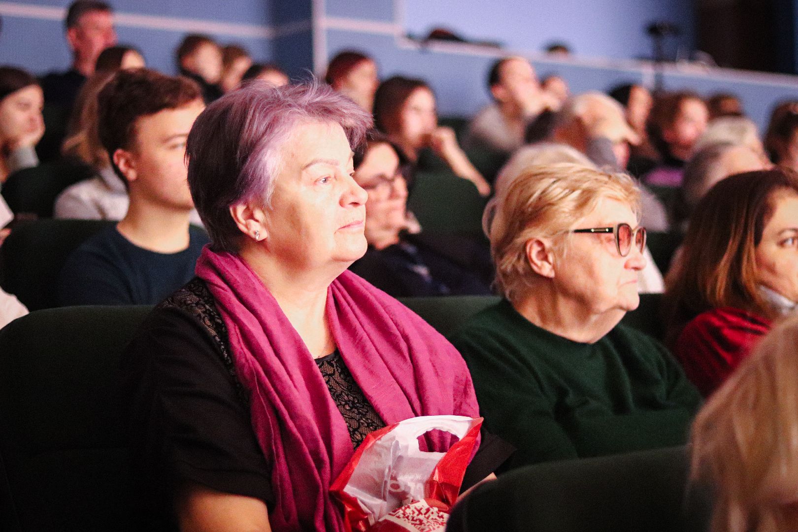 Клин, общество, культура, образование, Китай, музыканты, Подмосковье, вертикалки,