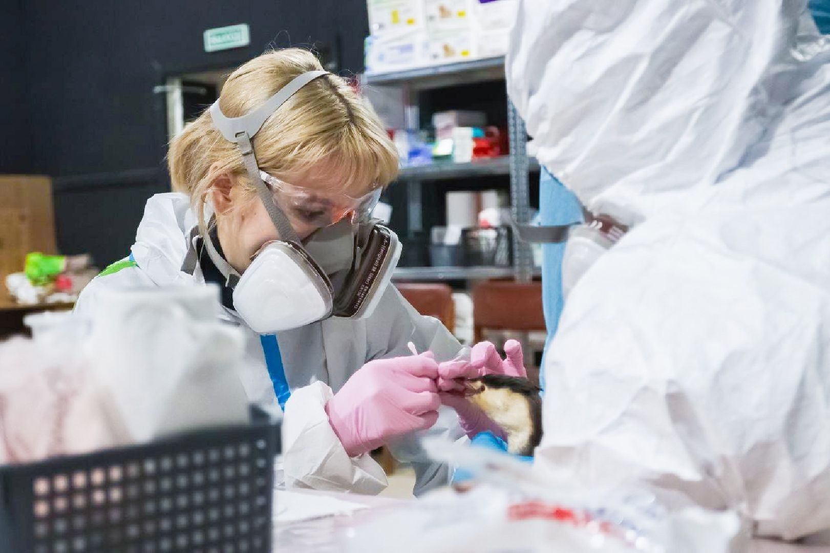 серпухов, подмосковье, МГЕР, волонтеры, черное море,