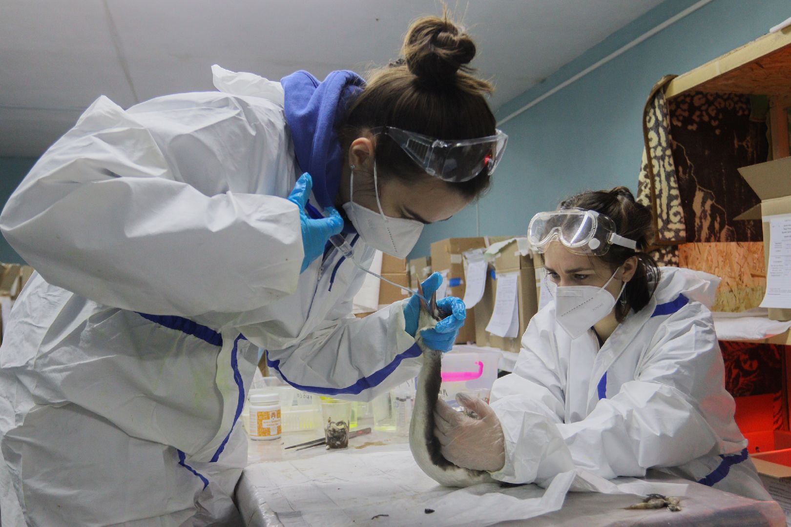 серпухов, подмосковье, МГЕР, волонтеры, черное море,