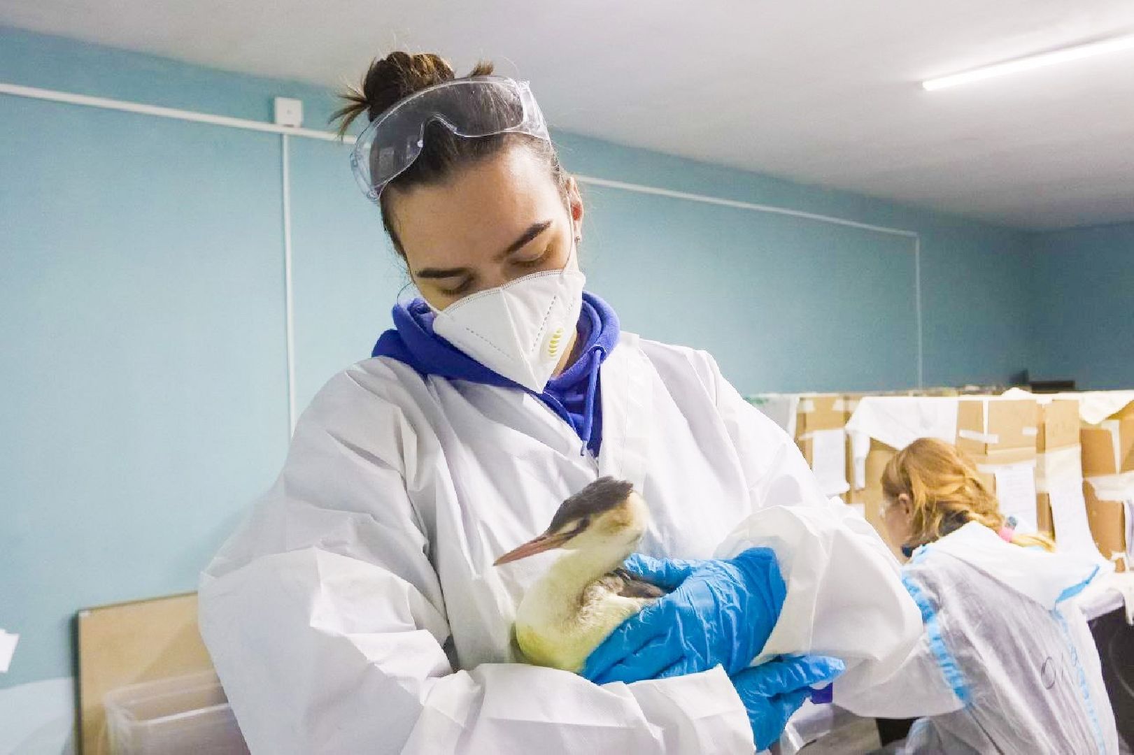 серпухов, подмосковье, МГЕР, волонтеры, черное море,