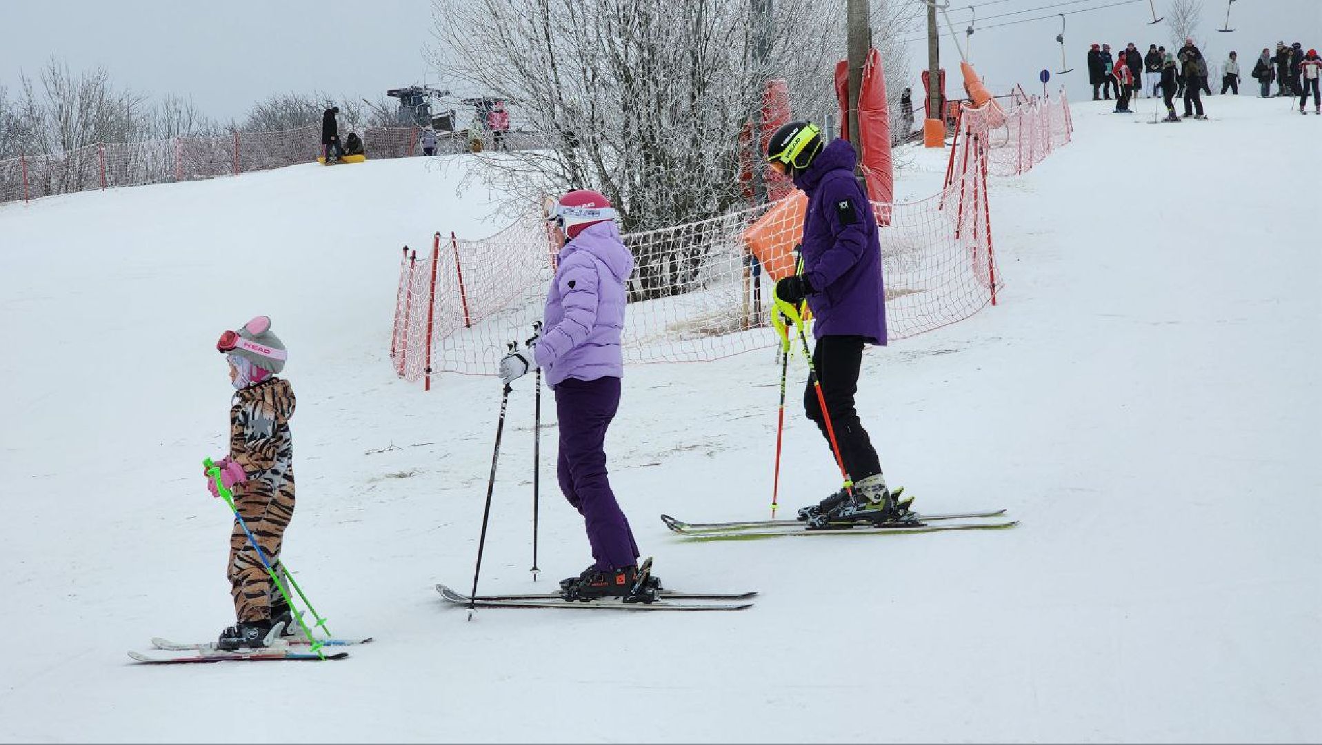 Дмитров, Парк Волен, Минтуризма, вертикалки,