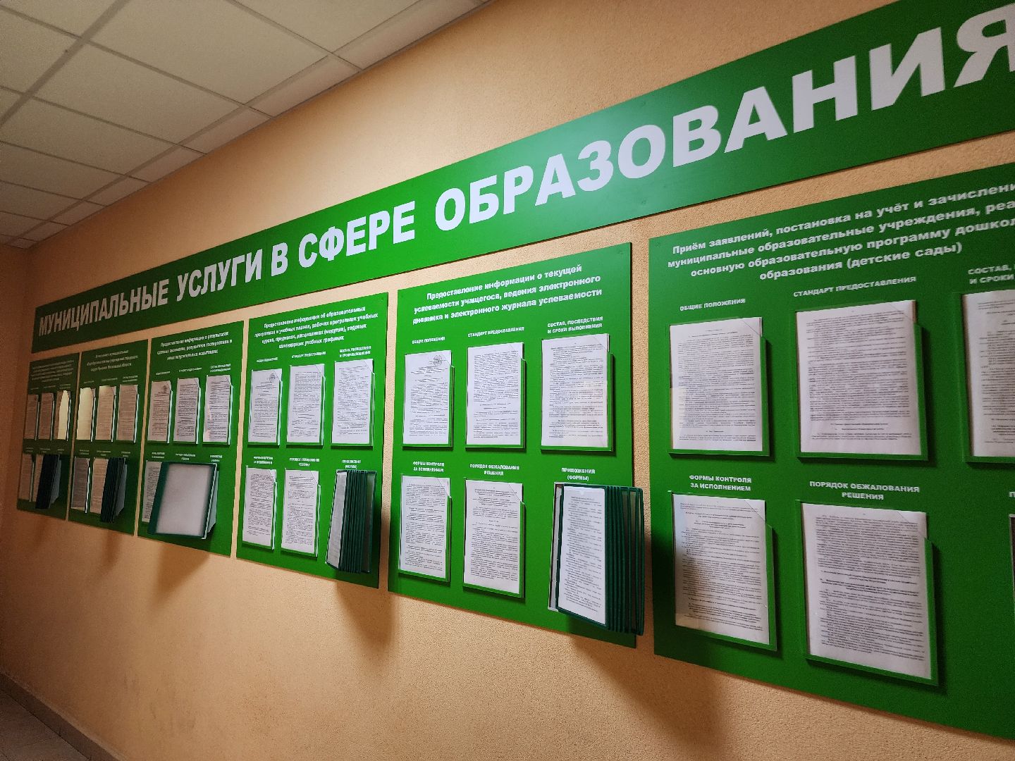 фрязино, егэ, выпускники, экзамены,