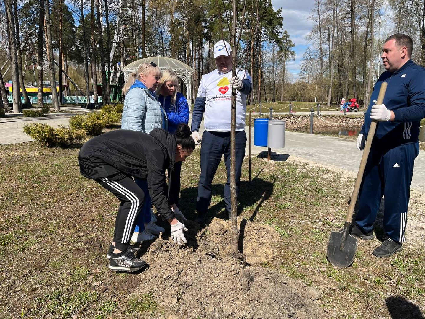 высадили дерево, Шатура, парк, липа