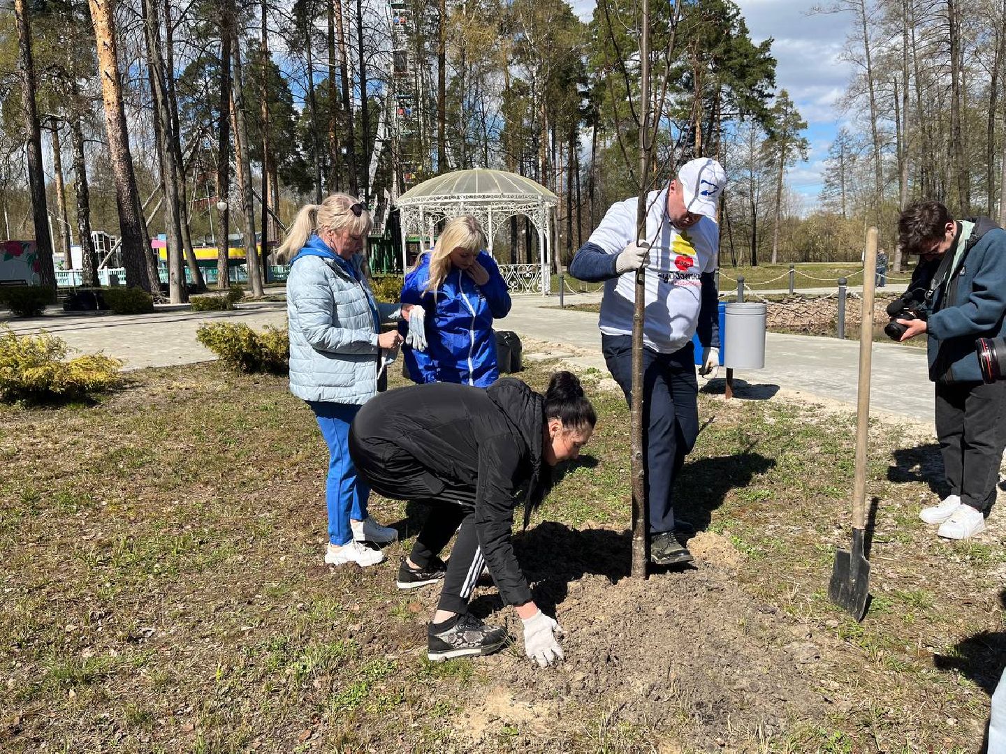 высадили дерево, Шатура, парк, липа