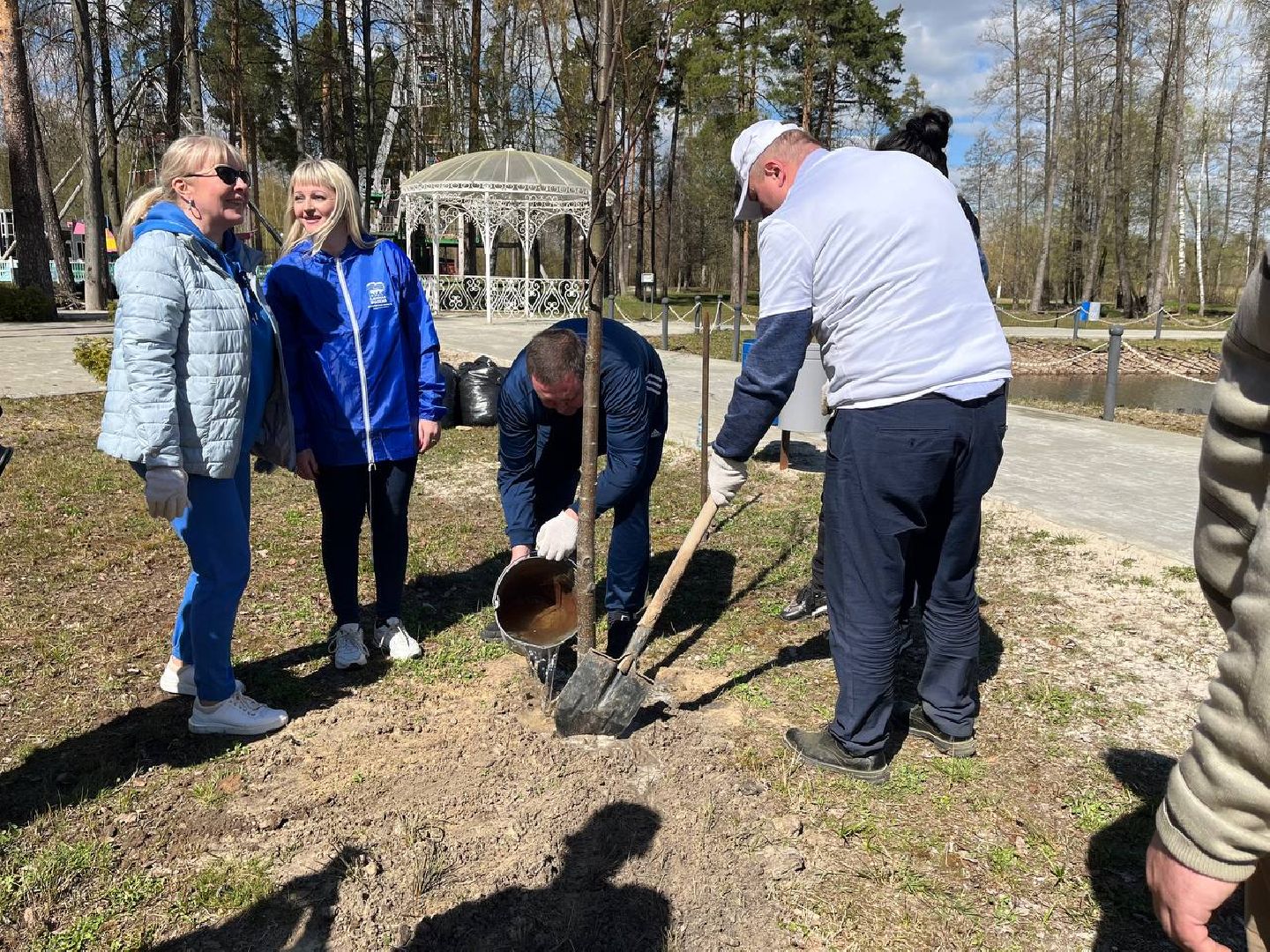 высадили дерево, Шатура, парк, липа