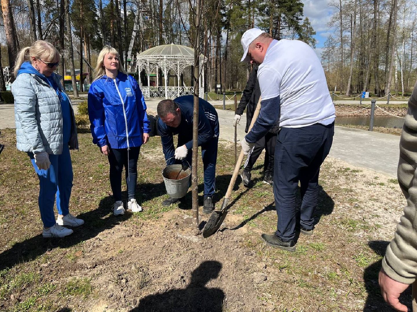 высадили дерево, Шатура, парк, липа