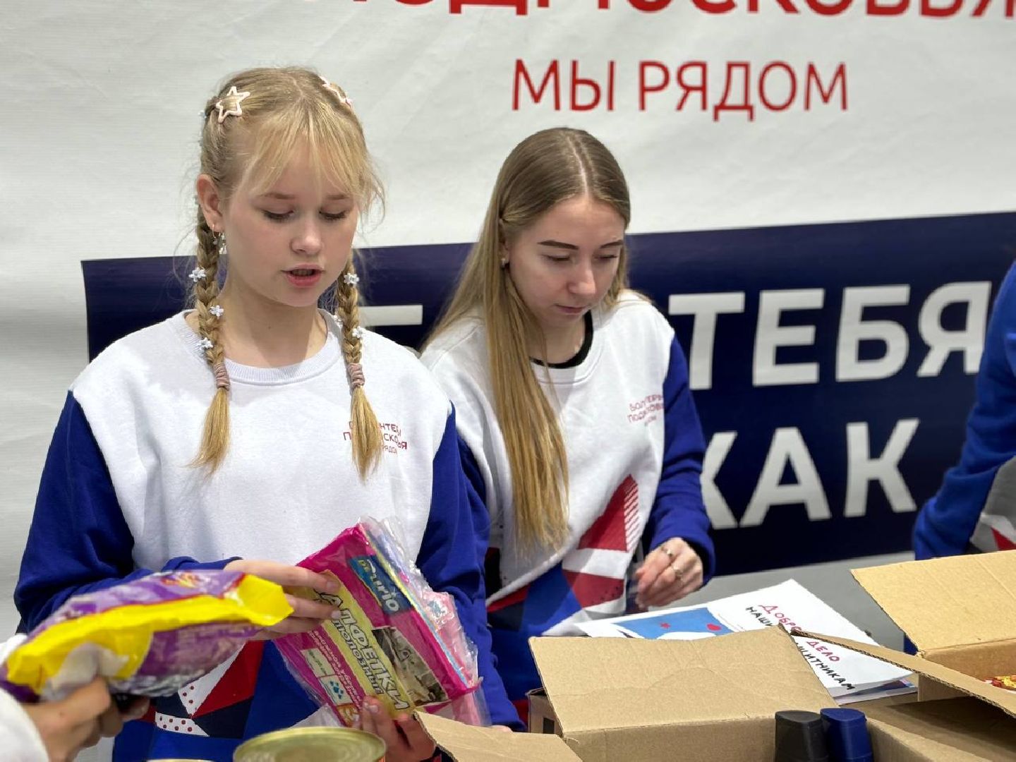 воскресенск, доброе дело нашим защитникам, волонтеры подмосковья, вертикалки,