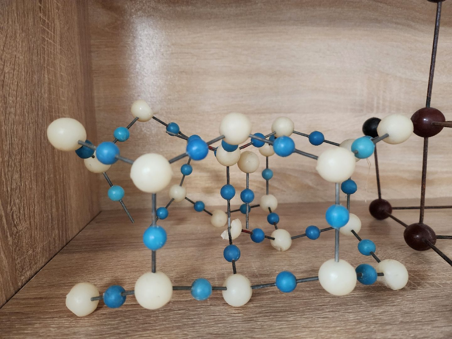 вертикалки, образование, луховицы,