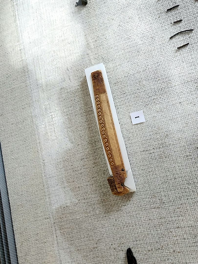 пущино, серпухов, выставка, археологи,