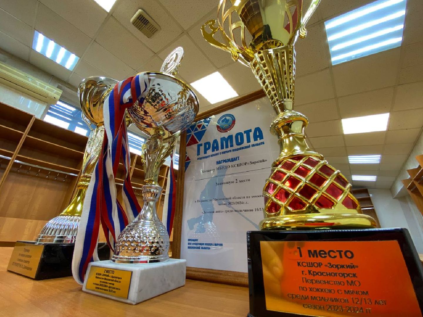 хоккейсмячом, горизонталки, зоркий,