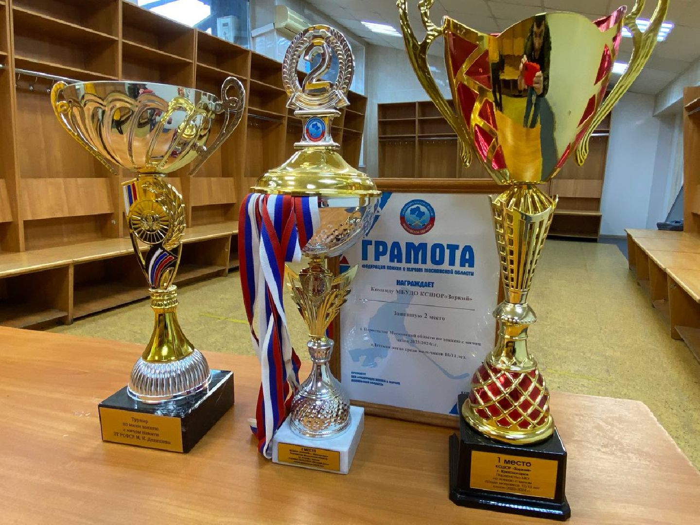 хоккейсмячом, горизонталки, зоркий,