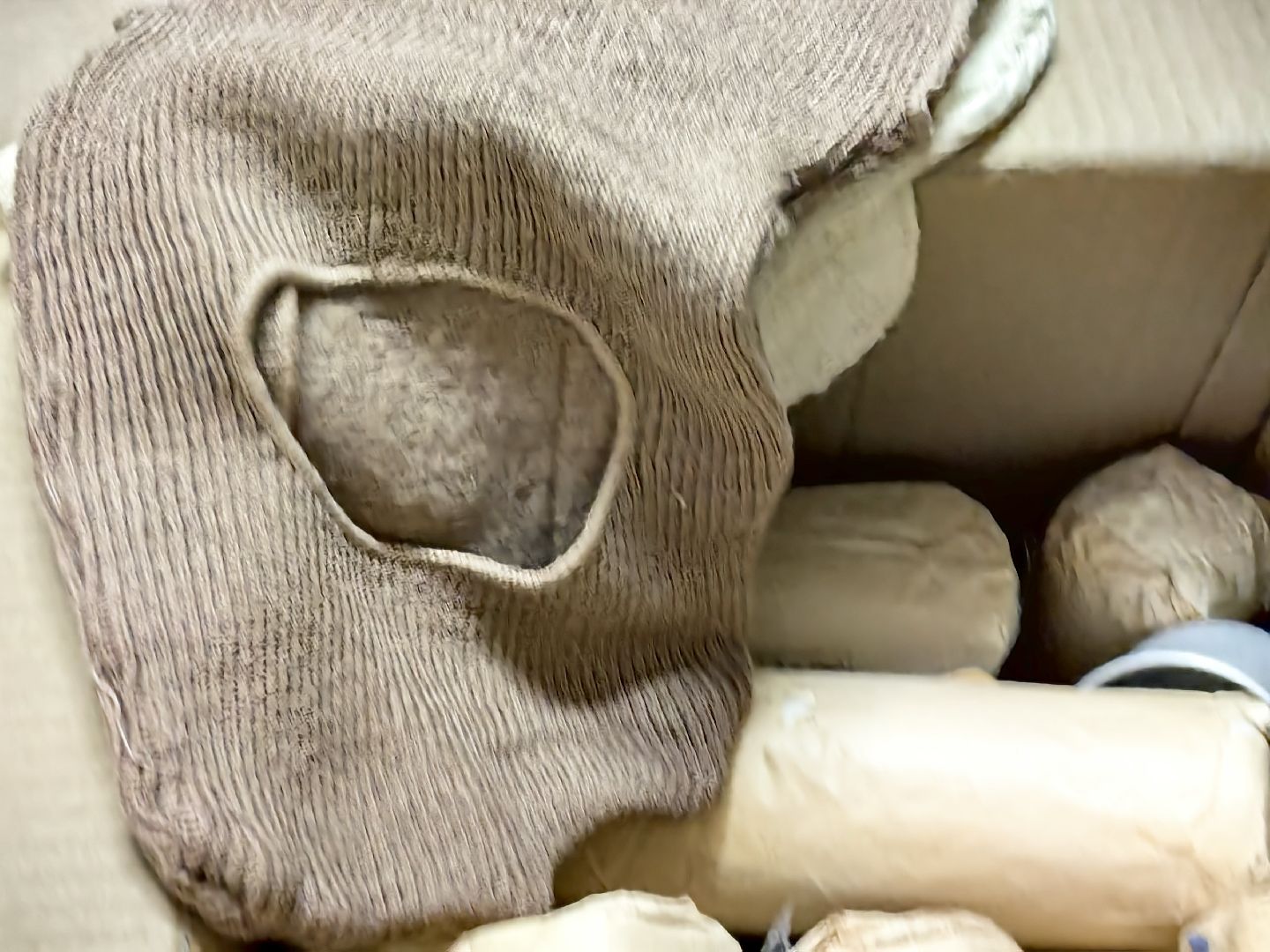 акция, Доброе дело, Юнармия, волонтры, активисты, гуманитарная помощь, вертикалки,