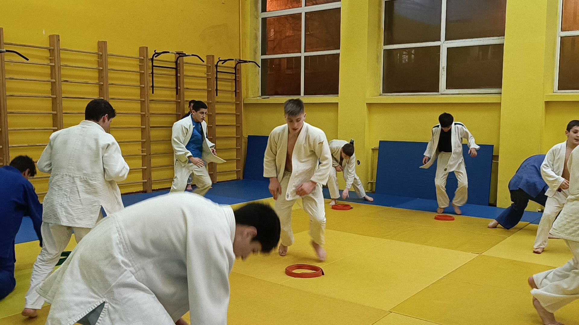 спорт, дзюдо, лобня, вертикалки,