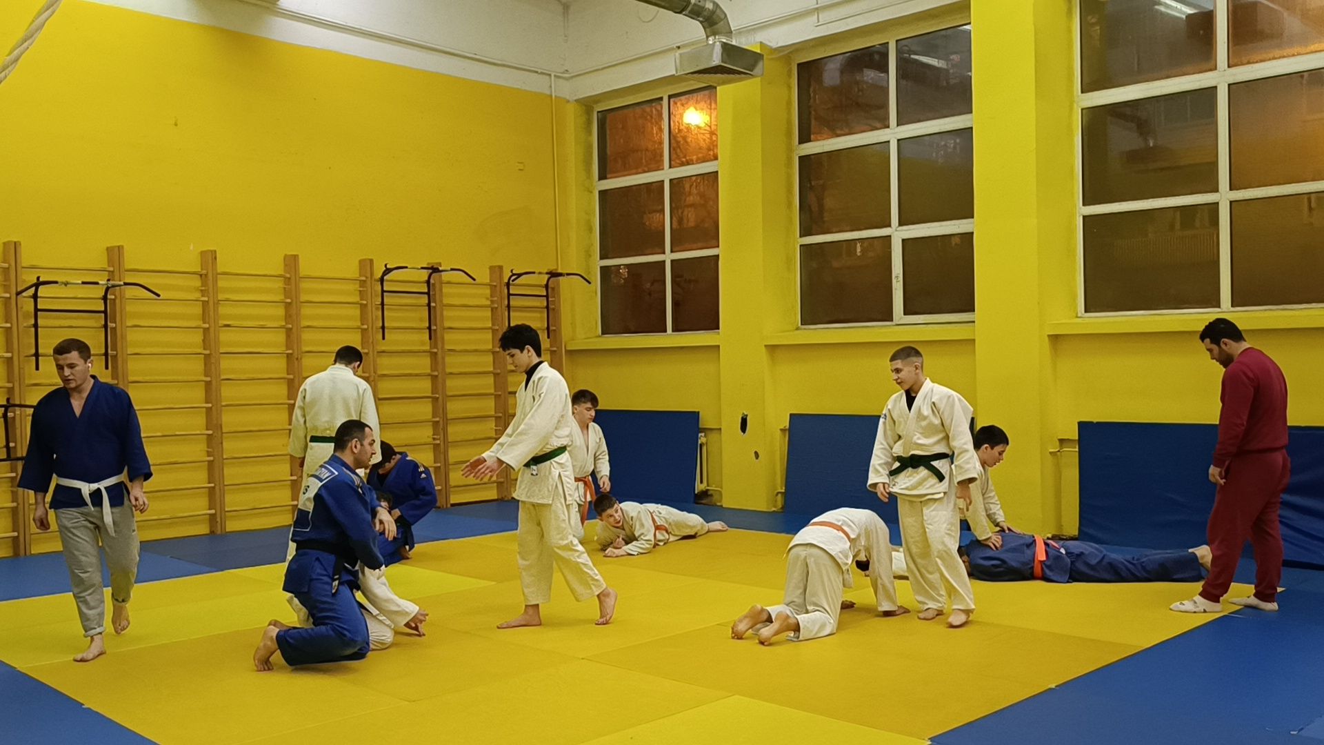 спорт, дзюдо, лобня, вертикалки,