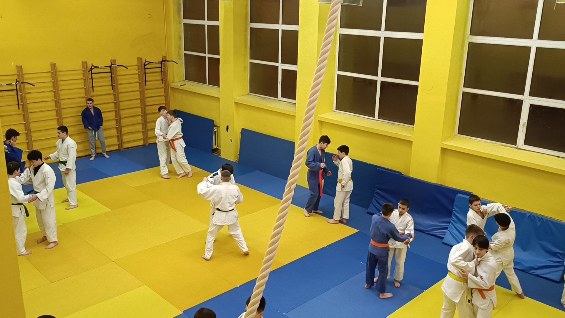 спорт, дзюдо, лобня, вертикалки,