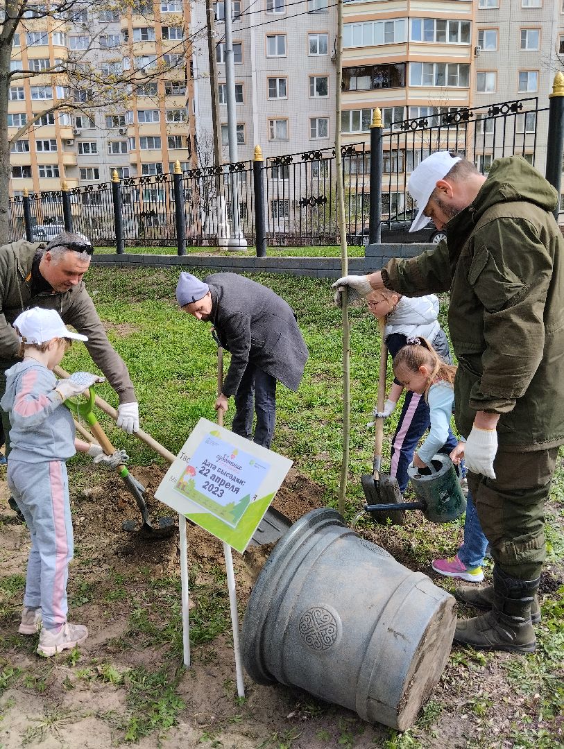 Благоустройство, Центральный парк, Богородский городской округ, Ногинск, администрация