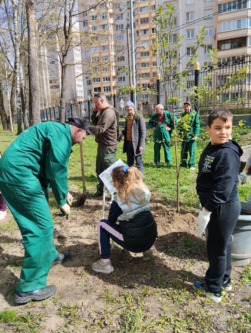 Благоустройство, Центральный парк, Богородский городской округ, Ногинск, администрация