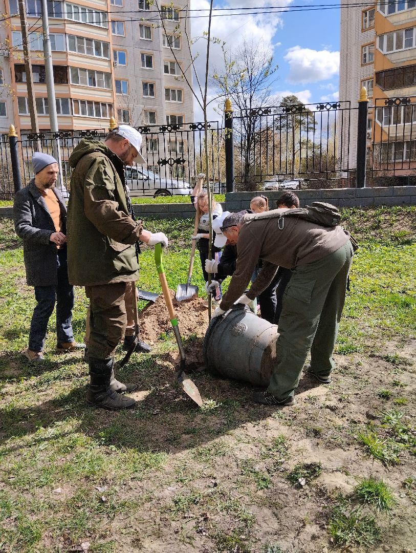 Благоустройство, Центральный парк, Богородский городской округ, Ногинск, администрация