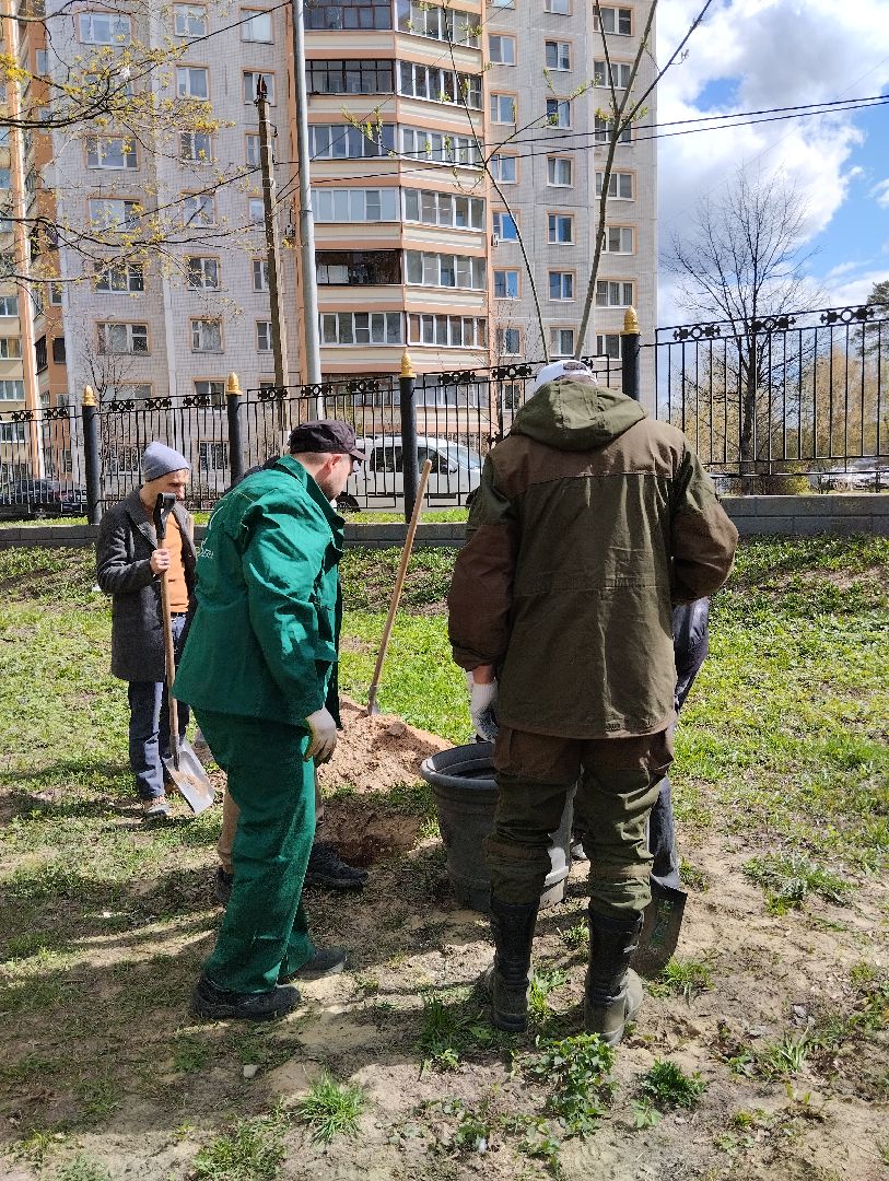 Благоустройство, Центральный парк, Богородский городской округ, Ногинск, администрация