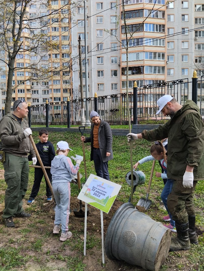 Благоустройство, Центральный парк, Богородский городской округ, Ногинск, администрация
