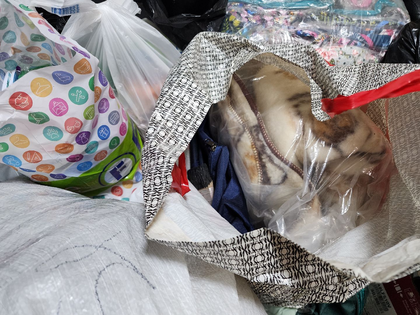 фрязино, молодежный центр, сбор гуманитарной помощи, волонтеры, сво, вертикалки,